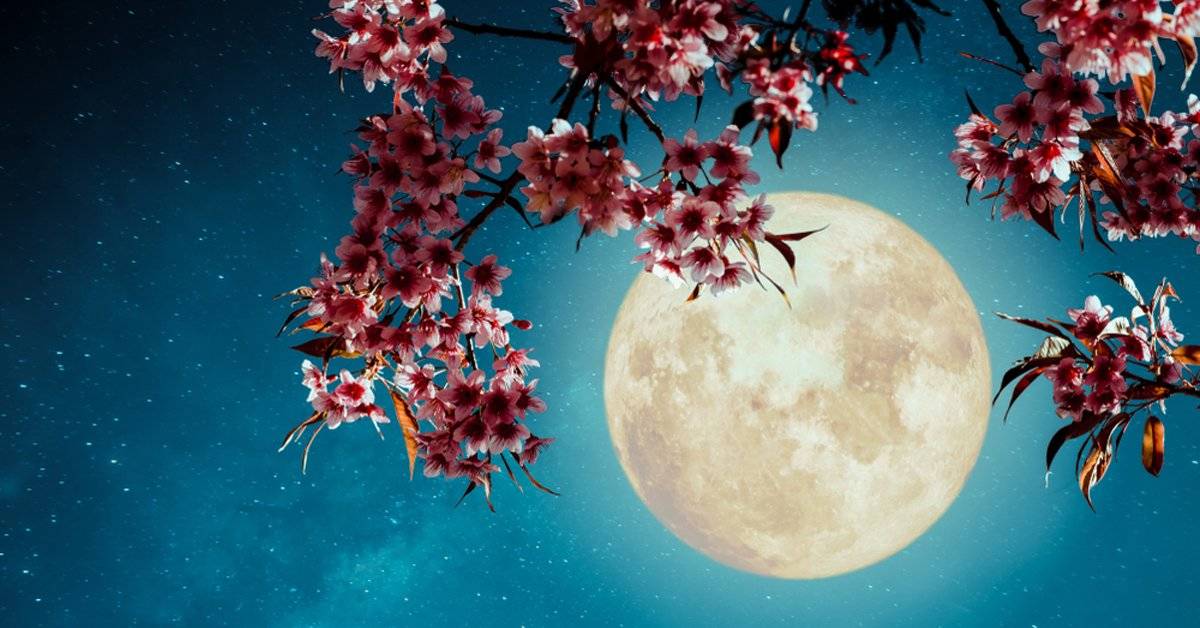 Luna Llena en Piscis