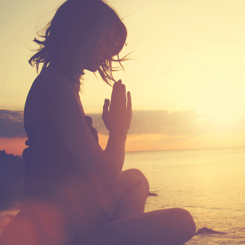 State-of-Yoga-Maharishi-Yoga-Asana-Instructor-Training-at-MERU-Vlodrop-shutterstock_336381740